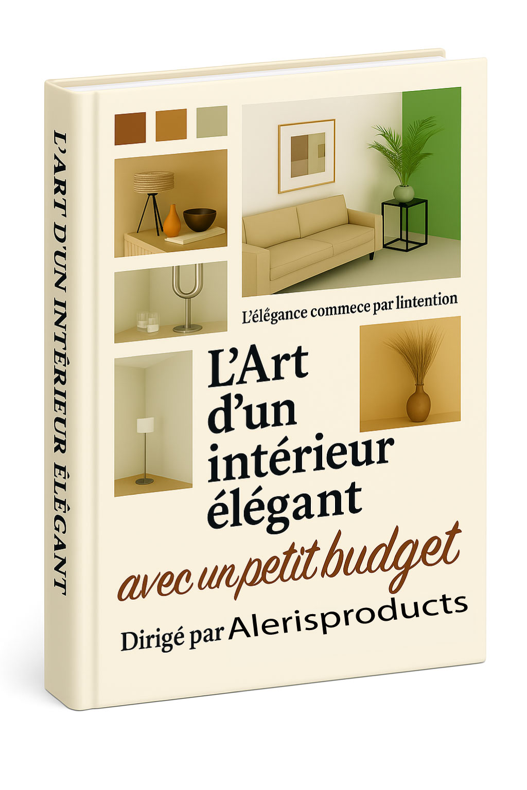 L'Art d'un intérieur élégant avec un petit budget-