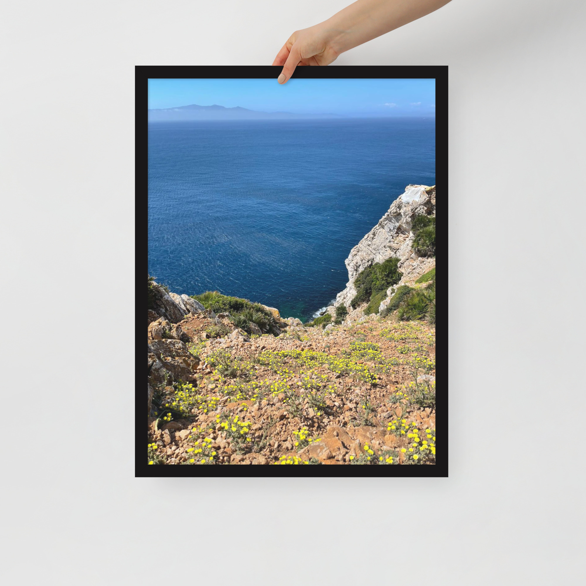 Tranquil Ocean Scene with Nature and Beach